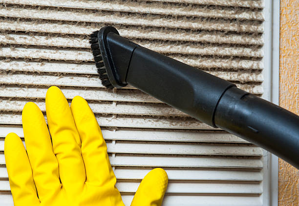 Best Affordable HVAC Duct Cleaning  in New Whiteland, IN